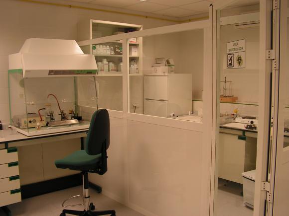 ÁREA DE MICROBIOLOGÍA